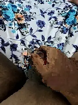 Snapshot of Mallu_Curator chatting on 11-09-25, 01:31 Mallu Curator online show from 11-09-25, 01:31