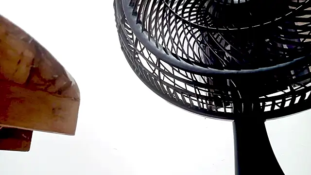 PetiteIvoryQueen19 online show from 02-14-26, 01:35