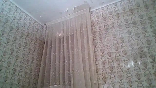 beardken online show from 05-24-26, 10:53