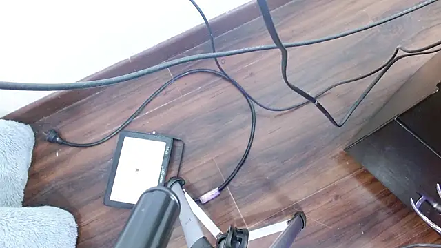 Aurora blossom   online show from 12-24-24, 12:22