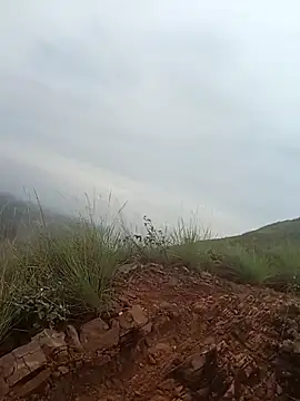 Snapshot of PervertedMature chatting on 11-06-25, 11:44 PervertedMature online show from 11-06-25, 11:44