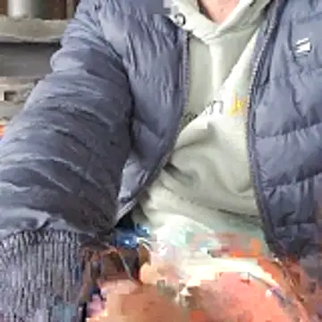 Lumpi1988A online show from 02-19-26, 11:39