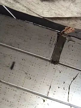 Snapshot of macg96 chatting on 12-17-24, 08:34 macg96 online show from 12-17-24, 08:34