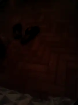 lobomisterioso13 online show from 12-11-24, 01:26