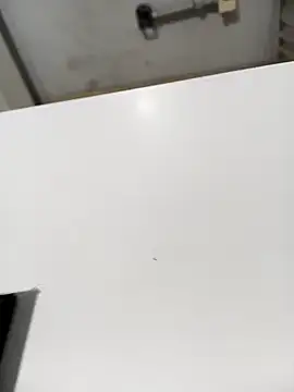 lobomisterioso13 online show from 12-16-24, 07:48