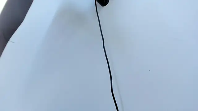 AbigailWilliams  online show from 10-18-25, 11:11