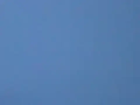 ToonyDee online show from 01-13-25, 05:55