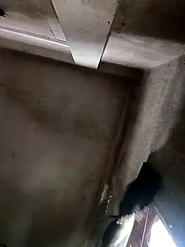 Snapshot of NICK_IN chatting on 10-30-25, 03:52 NICK IN online show from 10-30-25, 03:52