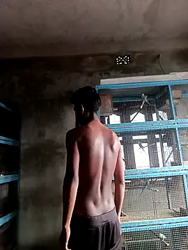 Snapshot of NICK_IN chatting on 03-01-26, 02:24 NICK IN online show from 03-01-26, 02:24