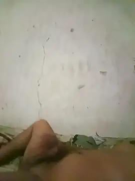 hhzp online show from 10-09-25, 12:14