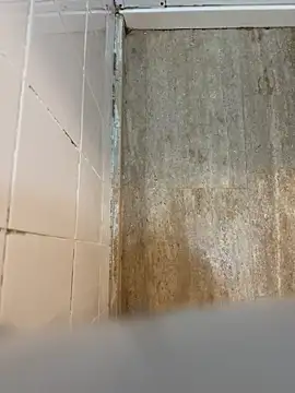 reelciii21 online show from 03-23-25, 12:58