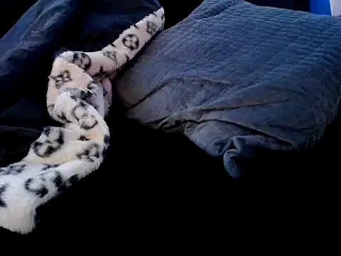 Niquitasparkles online show from 12-22-24, 09:31