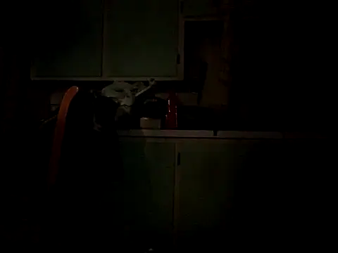 Snapshot of Frankdick01 chatting on 10-04-25, 05:05 Frankdick01 online show from 10-04-25, 05:05