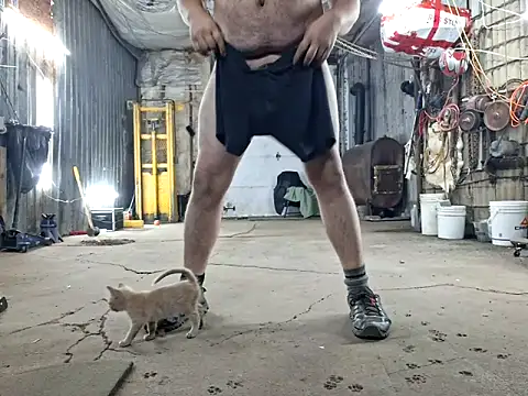 Snapshot of Frankdick01 chatting on 11-08-25, 04:12 Frankdick01 online show from 11-08-25, 04:12