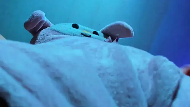 Lily stone04 online show from 12-16-25, 08:08