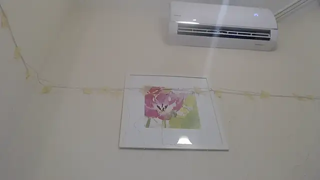 Only Mane online show from 01-14-25, 02:53