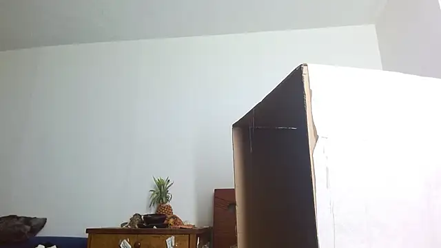 Party trans online show from 12-14-24, 10:39