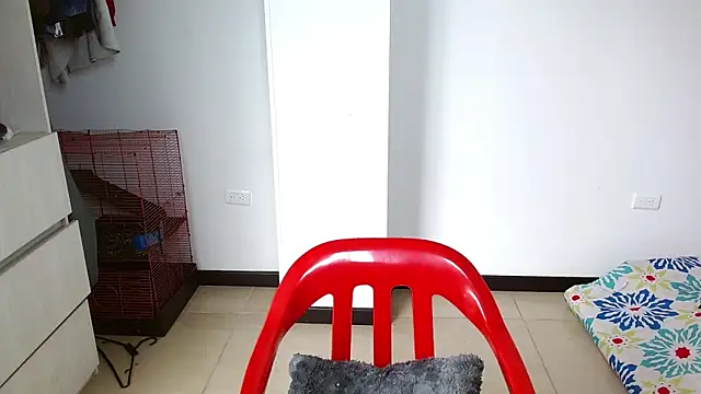 Party trans online show from 12-28-24, 05:03