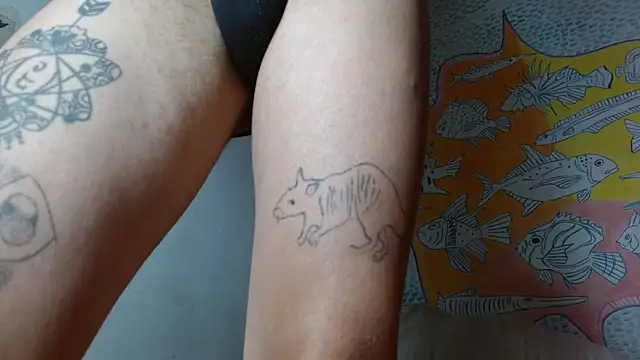 Party trans online show from 02-11-25, 10:28