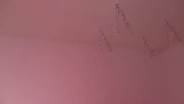 Miss oliviaa online show from 01-03-25, 11:01