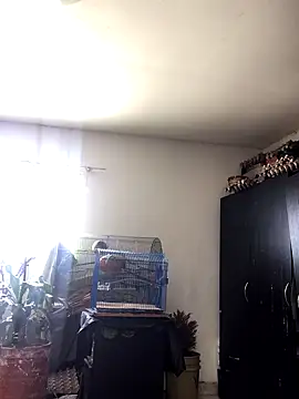 Miss oliviaa online show from 10-22-25, 02:06