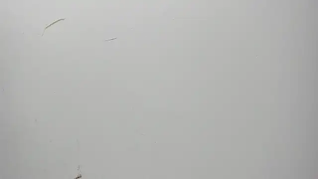 Karljensen33 online show from 12-27-24, 05:42