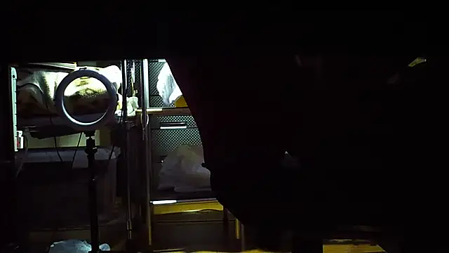 qoooqing67 online show from 12-15-24, 06:18