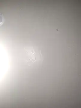 TickleMeKink online show from 10-14-25, 08:59