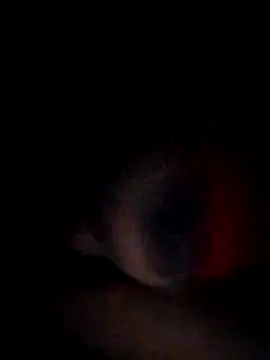 Snapshot of pornstarbrezillian chatting on 11-15-25, 04:54 pornstarbrezillian online show from 11-15-25, 04:54