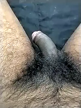 Snapshot of jellydicks chatting on 10-23-25, 03:00 jellydicks online show from 10-23-25, 03:00