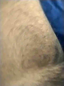 jellydicks online show from 03-04-26, 02:23