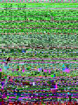 Harii 02 online show from 02-08-25, 07:49