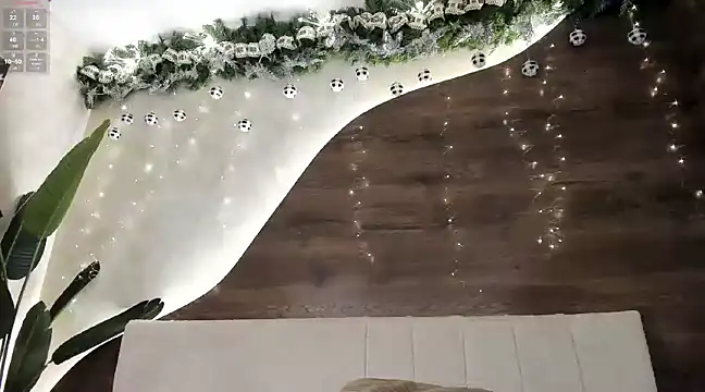 Morgan Hilll  online show from 12-15-24, 04:37