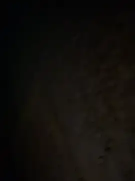 Snapshot of tripexnte chatting on 02-20-25, 06:39 tripexnte online show from 02-20-25, 06:39