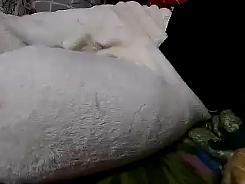 Snapshot of sexyguy1231 chatting on 12-26-24, 03:53 sexyguy1231 online show from 12-26-24, 03:53