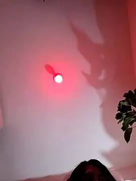 ferwambier online show from 02-12-26, 05:52