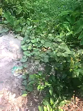 GapingConker online show from 11-09-25, 07:50