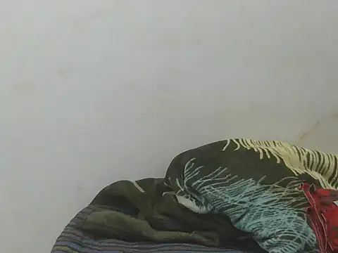DOLL CUTY online show from 05-14-26, 06:37