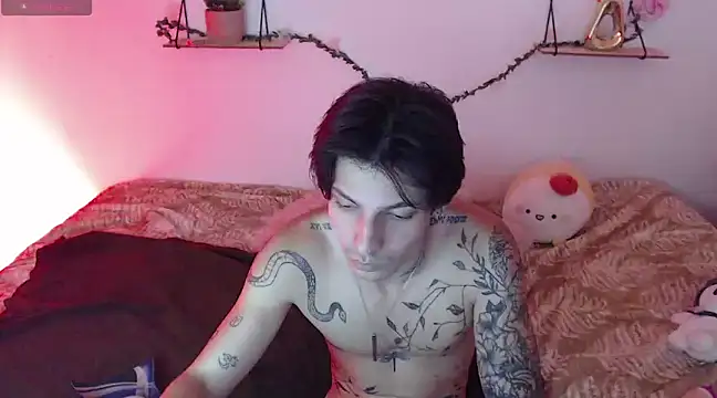 Snapshot of Apolo_Hidalgo01 chatting on 12-29-24, 04:08 Apolo Hidalgo01 online show from 12-29-24, 04:08