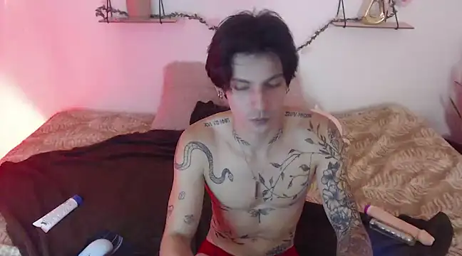 Snapshot of Apolo_Hidalgo01 chatting on 01-06-25, 04:13 Apolo Hidalgo01 online show from 01-06-25, 04:13