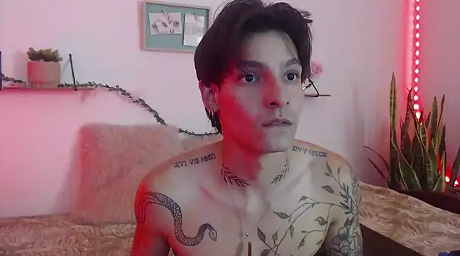 Snapshot of Apolo_Hidalgo01 chatting on 01-11-25, 04:03 Apolo Hidalgo01 online show from 01-11-25, 04:03