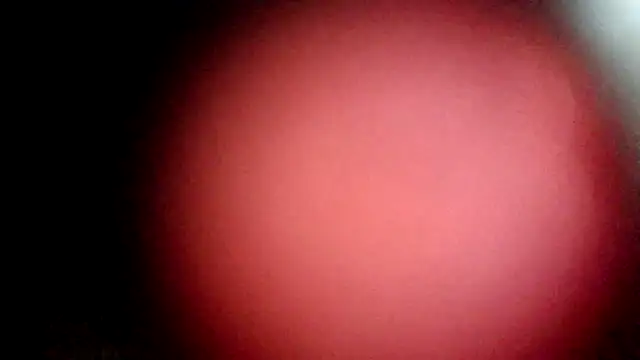 Snapshot of modenq chatting on 03-20-26, 02:33 modenq online show from 03-20-26, 02:33