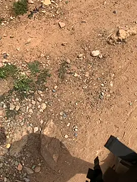 Black mamba madingo online show from 02-27-25, 09:54