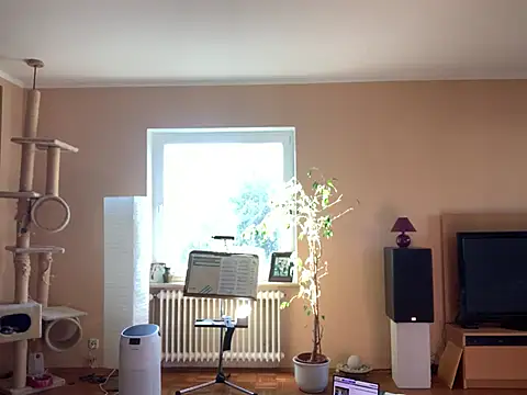 Bula94193 online show from 03-08-25, 08:33