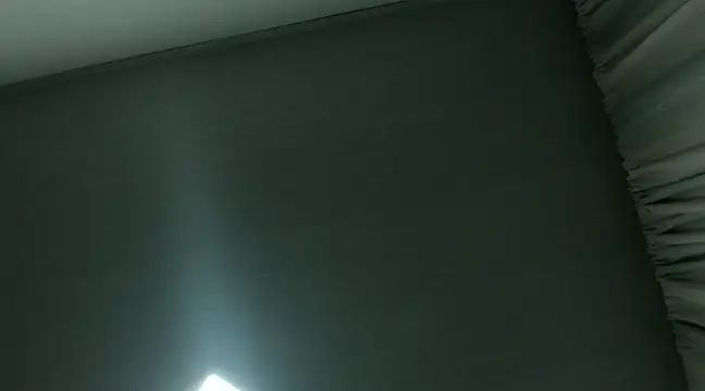 Snapshot of RyanandRosse chatting on 12-28-24, 07:55 RyanandRosse online show from 12-28-24, 07:55