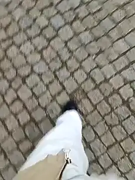 domexib online show from 02-15-25, 05:39