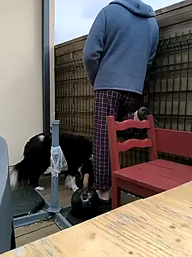 bogland33 online show from 03-13-25, 10:15