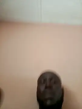 Landlordlandlord12 online show from 03-25-26, 02:34