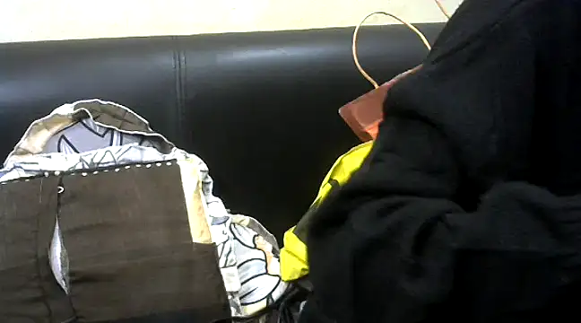 Indian korean online show from 12-20-24, 03:10