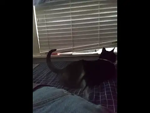 Snapshot of DevinToore chatting on 03-20-26, 04:12 DevinToore online show from 03-20-26, 04:12